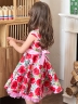 Платье для девочки нарядное БУШОН ST30, стиляги цвет красный/розовый пояс розовый, принт цветы 
