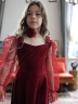 Платье велюровое нарядное БУШОН ST632, цвет бордовый choker
