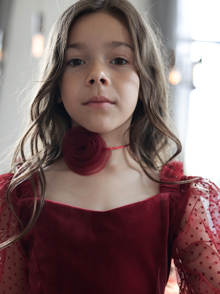 Платье велюровое нарядное БУШОН ST632, цвет бордовый choker